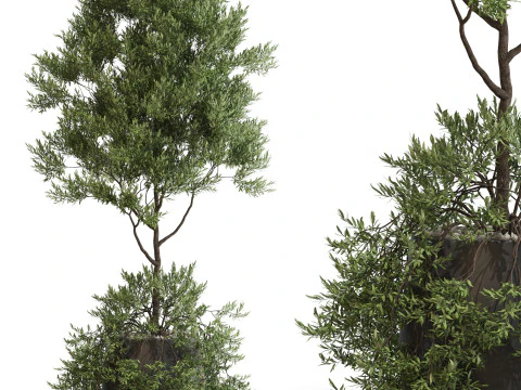 Koleksi tanaman 697 Model 3D