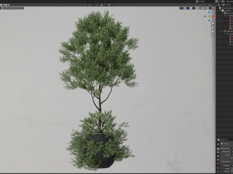 Plants collection 697 3D Model