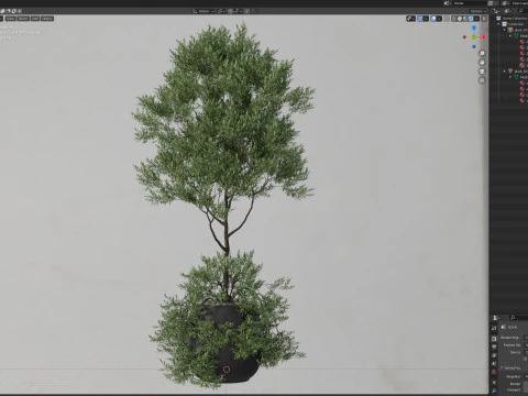 Plants collection 697 3D Model