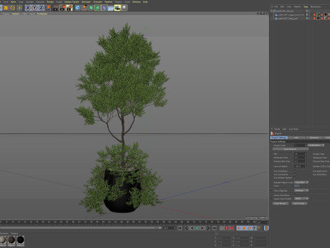 Plants collection 697 3D Model