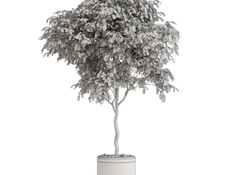 Plants collection 698 3D Model