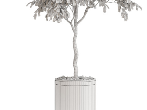 Plants collection 698 3D Model