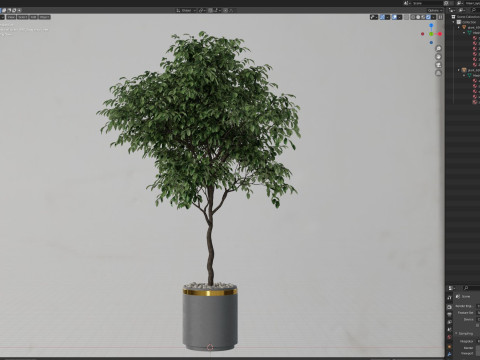 Plants collection 698 3D Model