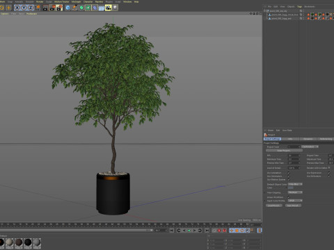 Plants collection 698 3D Model