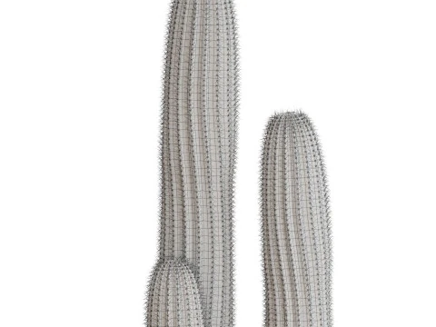 Plants collection 699 3D Model