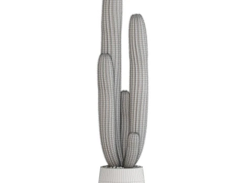 Plants collection 699 3D Model