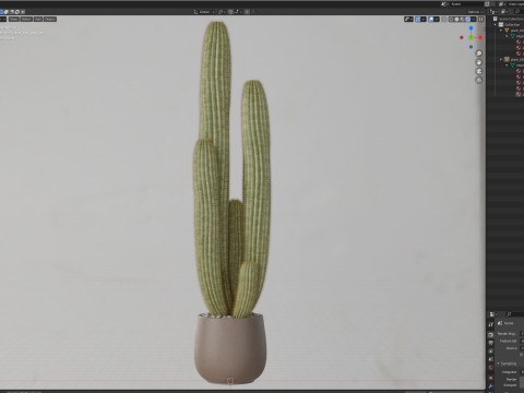 Plants collection 699 3D 模型