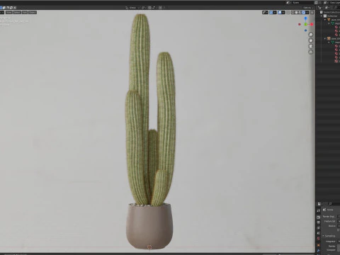 Plants collection 699 3D Model