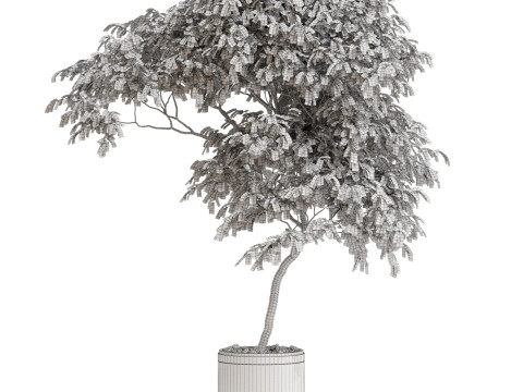 Plants collection 700 3D Model