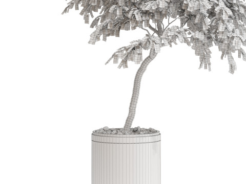 Plants collection 700 3D Model