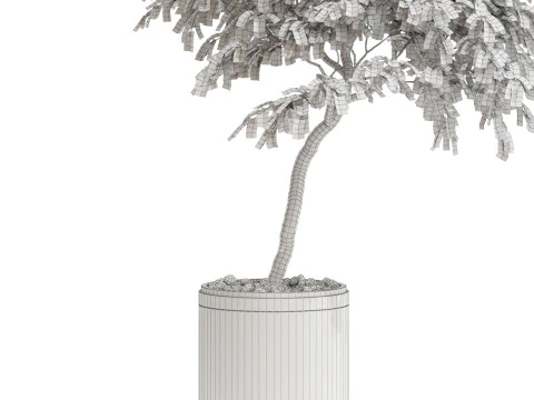 Plants collection 700 3D Model