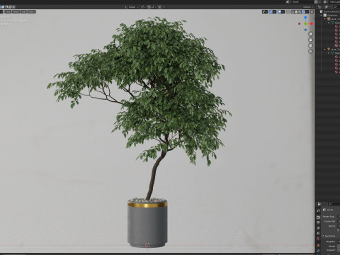 Plants collection 700 3D Model