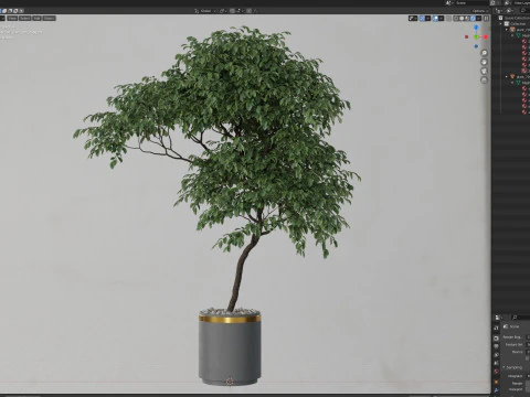 Plants collection 700 3D Model