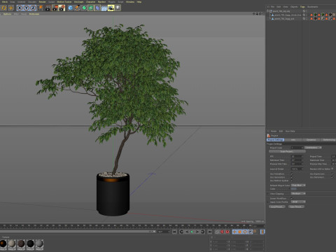 Plants collection 700 3D Model