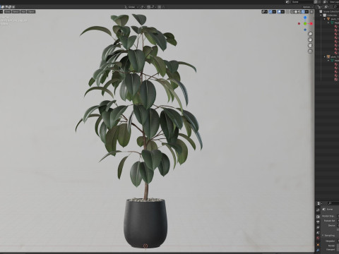 Plants collection 701 3D Model