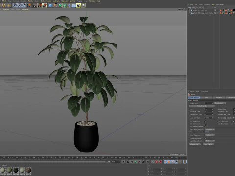Plants collection 701 3D Model