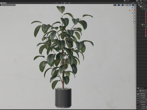 Plants collection 702 3D Model