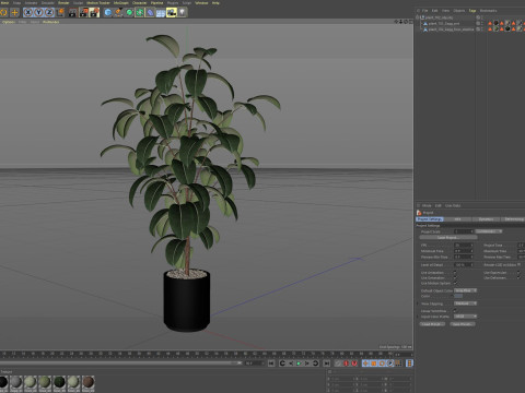 Plants collection 702 3D 모델