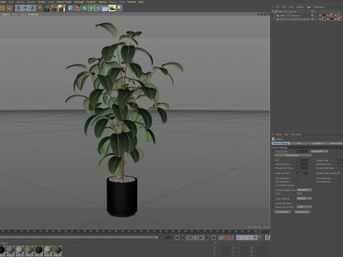 Plants collection 702 3D Model