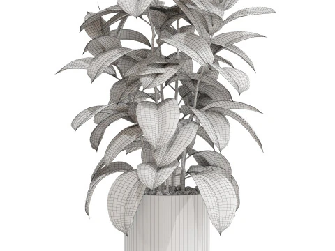 Plants collection 703 3D Model