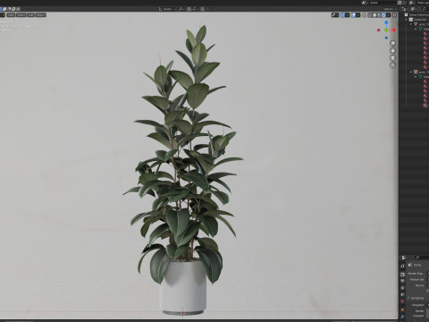 Plants collection 703 3D Model