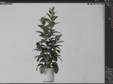 Plants collection 703 3D Model