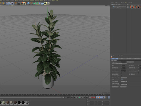Plants collection 703 3D Model