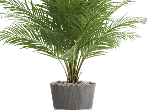 식물채집 704 3D 모델