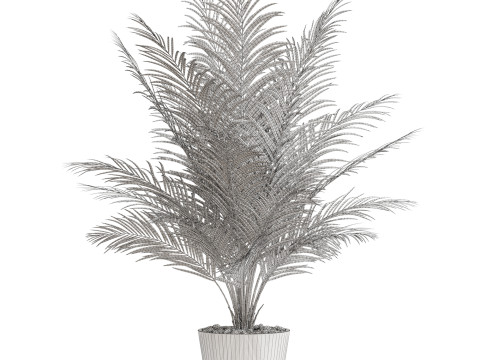 Plants collection 704 Modelo 3D