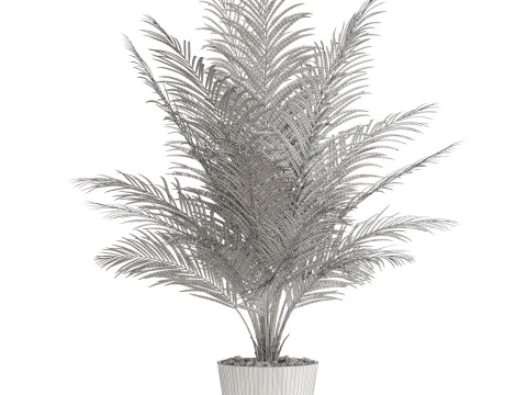 식물채집 704 3D 모델