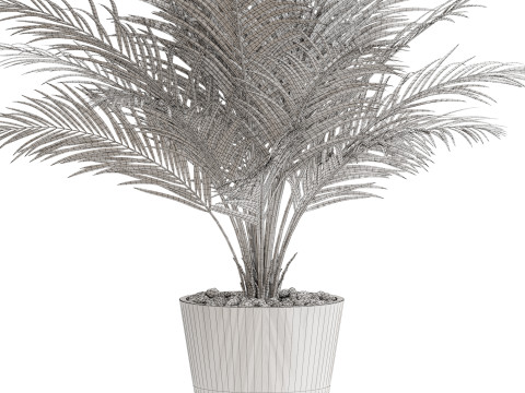 Plants collection 704 Modelo 3D