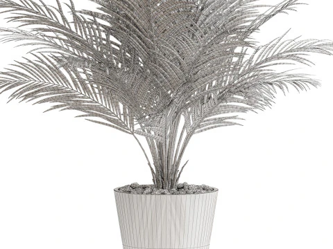 식물채집 704 3D 모델