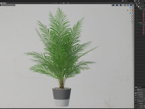 Plants collection 704 Modelo 3D
