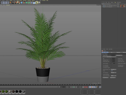 Plants collection 704 Modelo 3D
