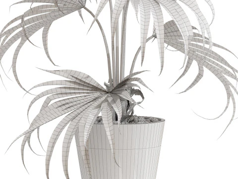 Plants collection 705 3D Model
