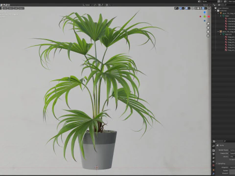 Plants collection 705 3D Model