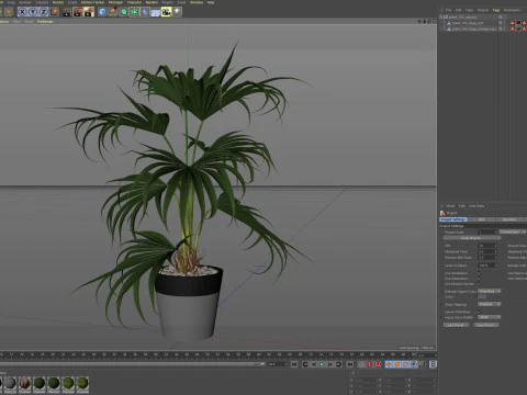 Plants collection 705 3D Model