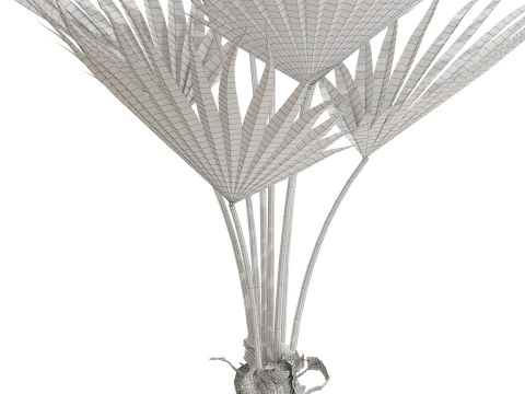 Plants collection 706 3D Model