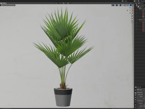Plants collection 706 3D Model