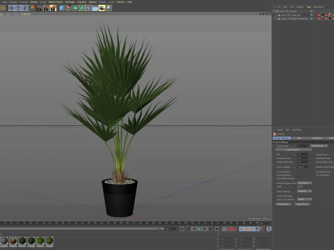 Plants collection 706 3D Model