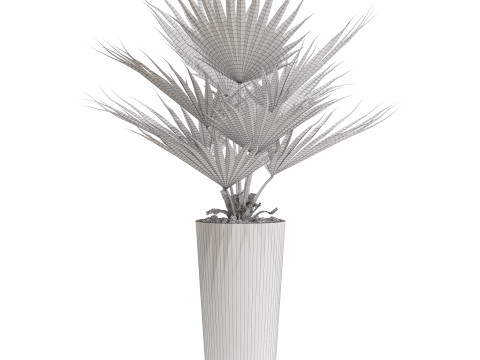 Plants collection 707 Modèle 3D
