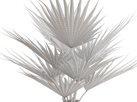 Plants collection 707 Modèle 3D