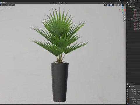 Plants collection 707 3D Model