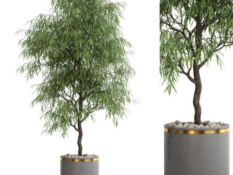 Koleksi tanaman 708 Model 3D