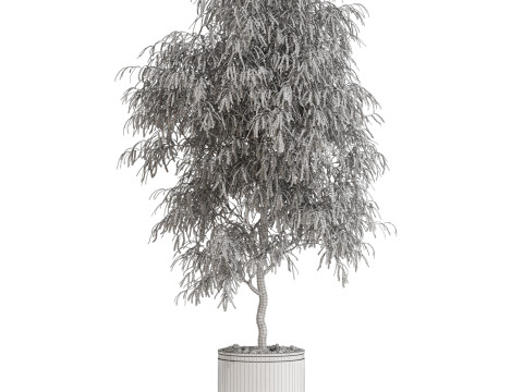 Plants collection 708 Model 3D