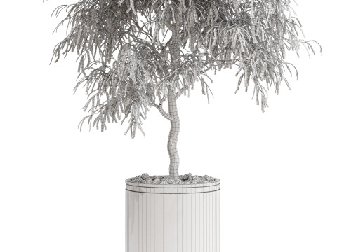Plants collection 708 Model 3D