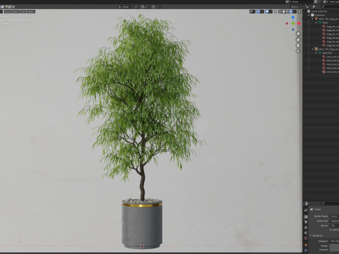 Plants collection 708 Model 3D