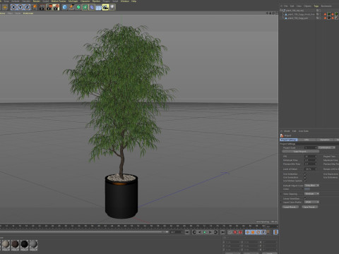 Plants collection 708 Model 3D