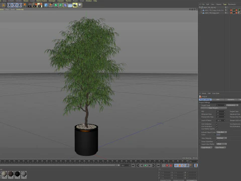 Plants collection 708 3D Model