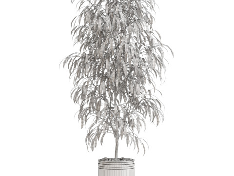 Plants collection 709 3D 모델